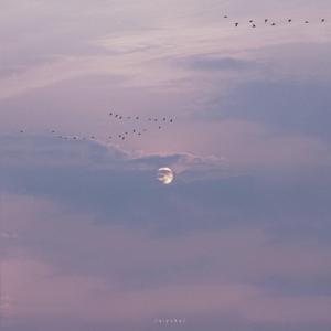 XxX性XXX复古Video老电影
